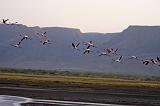 TANZANIA - Lake Natron - 064